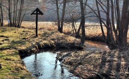 Ścieżka dydaktyczna