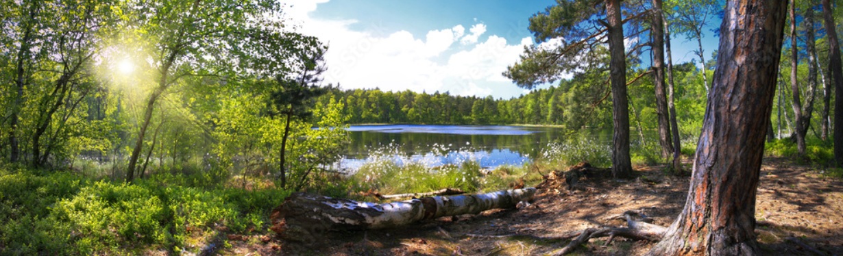 Co wyróżnia nasz ośrodek?