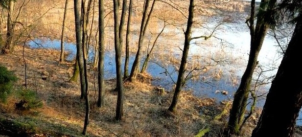 field station in Suszek